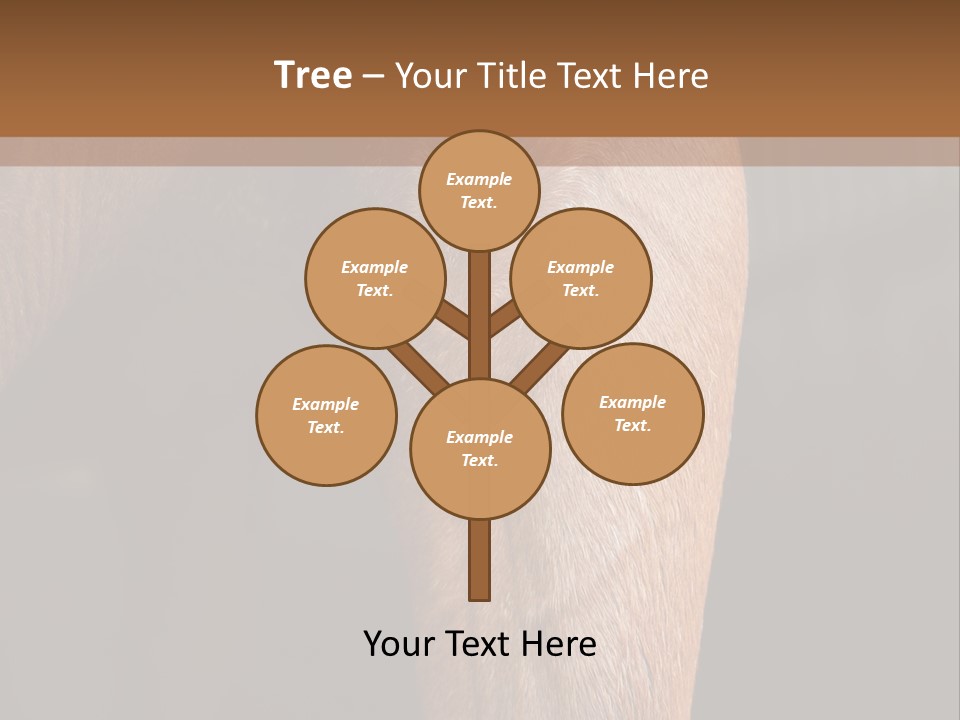 Fineartprints Wallmurals Leg PowerPoint Template