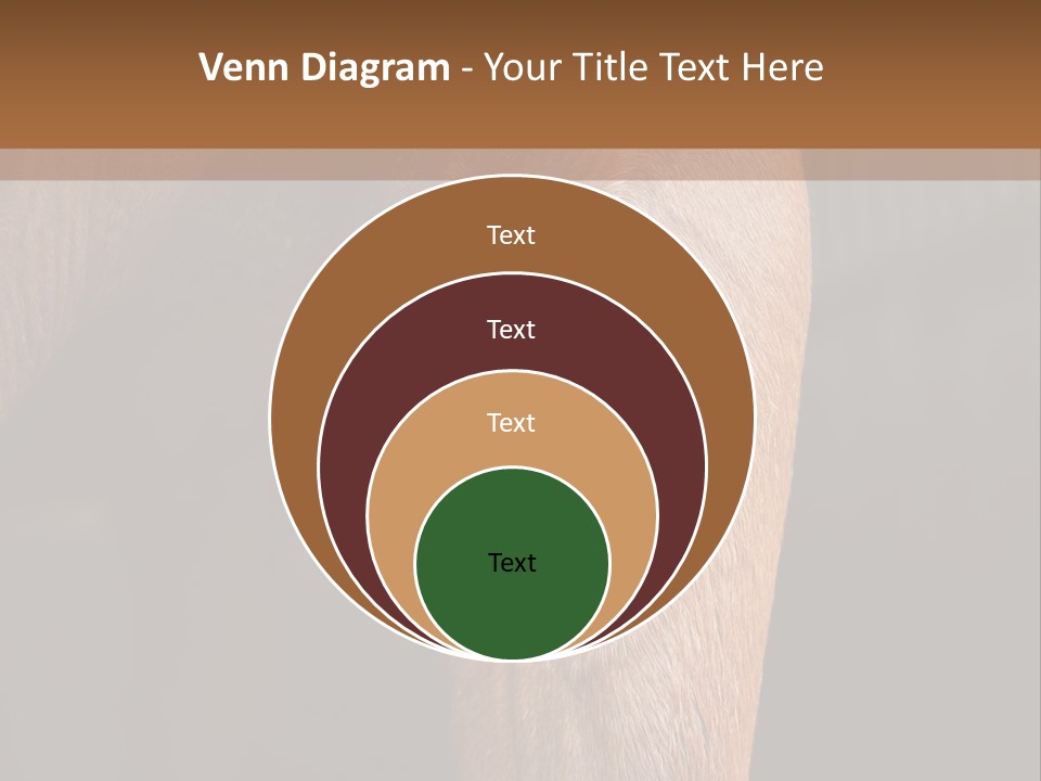 Fineartprints Wallmurals Leg PowerPoint Template
