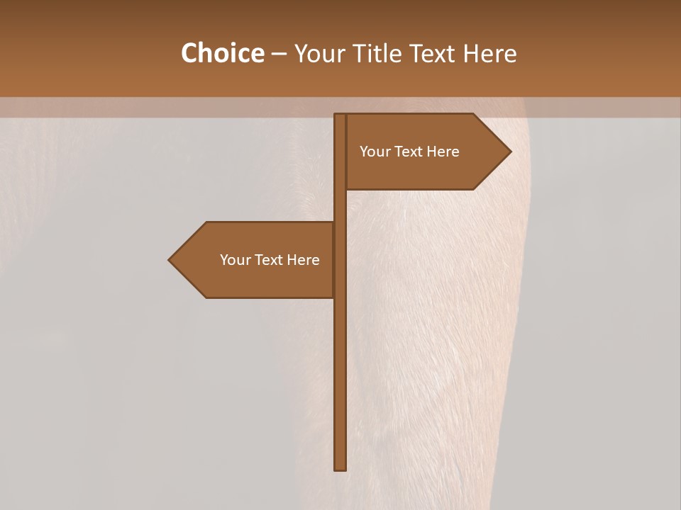 Fineartprints Wallmurals Leg PowerPoint Template