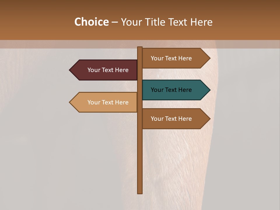Fineartprints Wallmurals Leg PowerPoint Template