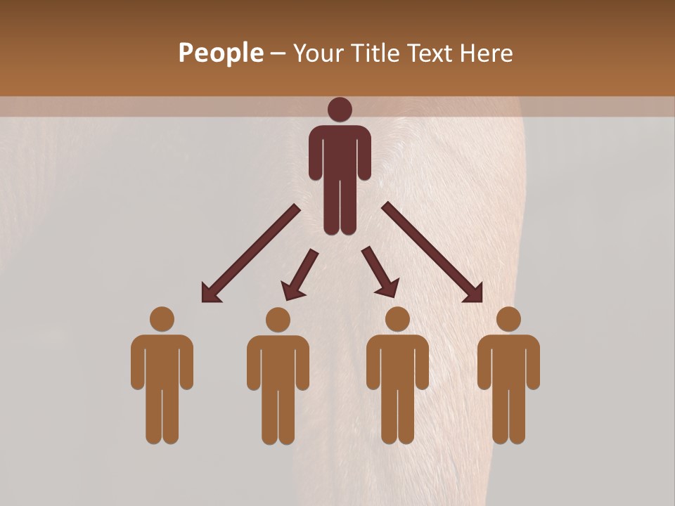 Fineartprints Wallmurals Leg PowerPoint Template