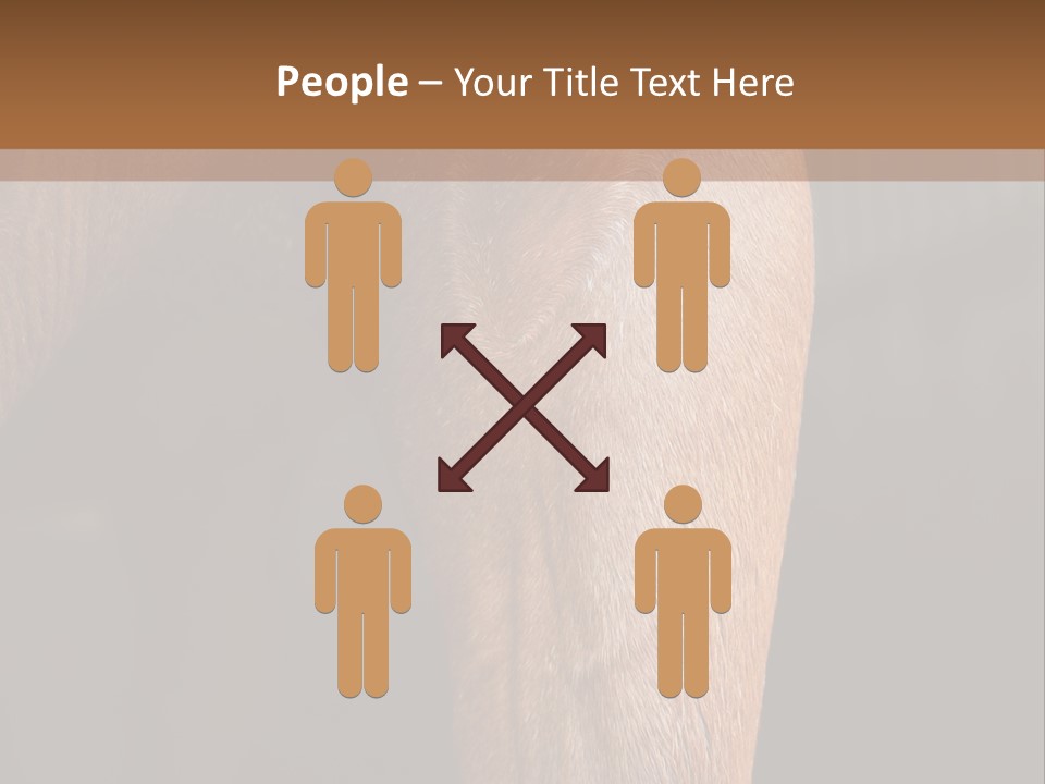 Fineartprints Wallmurals Leg PowerPoint Template