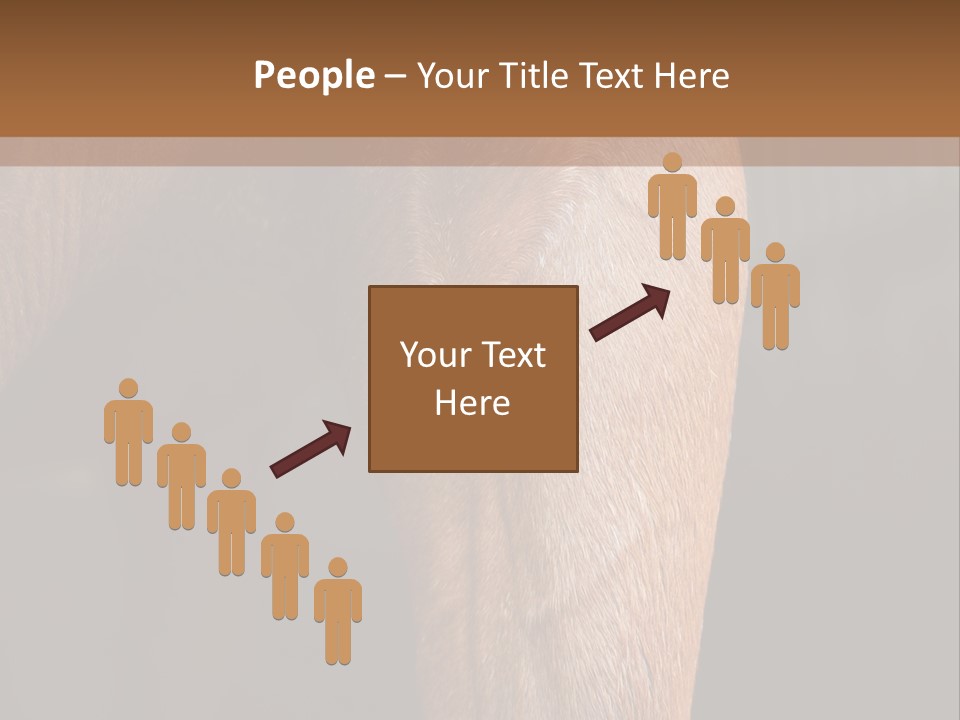 Fineartprints Wallmurals Leg PowerPoint Template