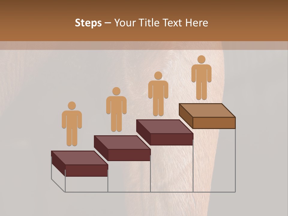 Fineartprints Wallmurals Leg PowerPoint Template