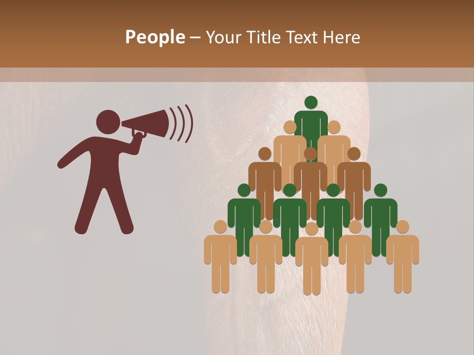 Fineartprints Wallmurals Leg PowerPoint Template