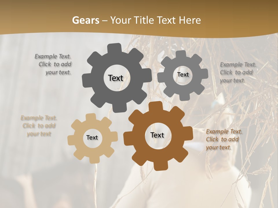 Tradition Cuddling Funfair PowerPoint Template