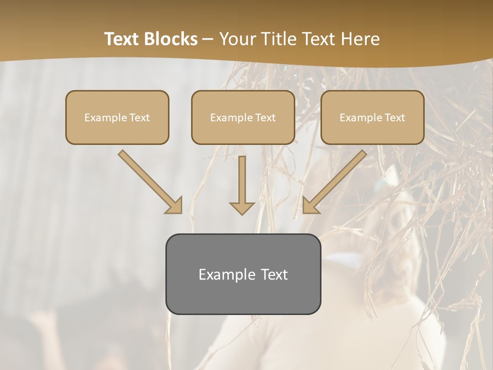 Tradition Cuddling Funfair PowerPoint Template