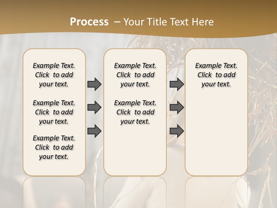 Tradition Cuddling Funfair PowerPoint Template