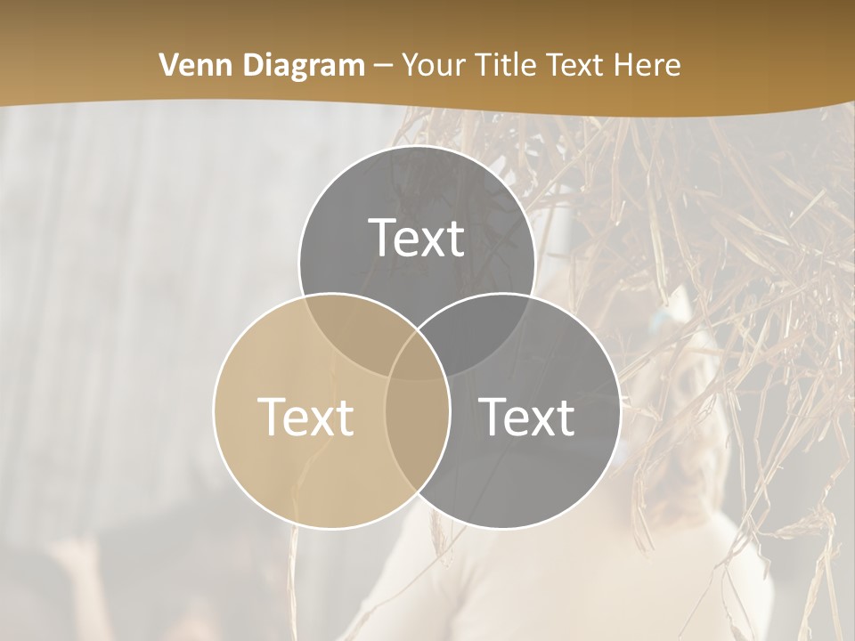 Tradition Cuddling Funfair PowerPoint Template