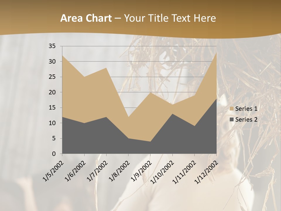 Tradition Cuddling Funfair PowerPoint Template