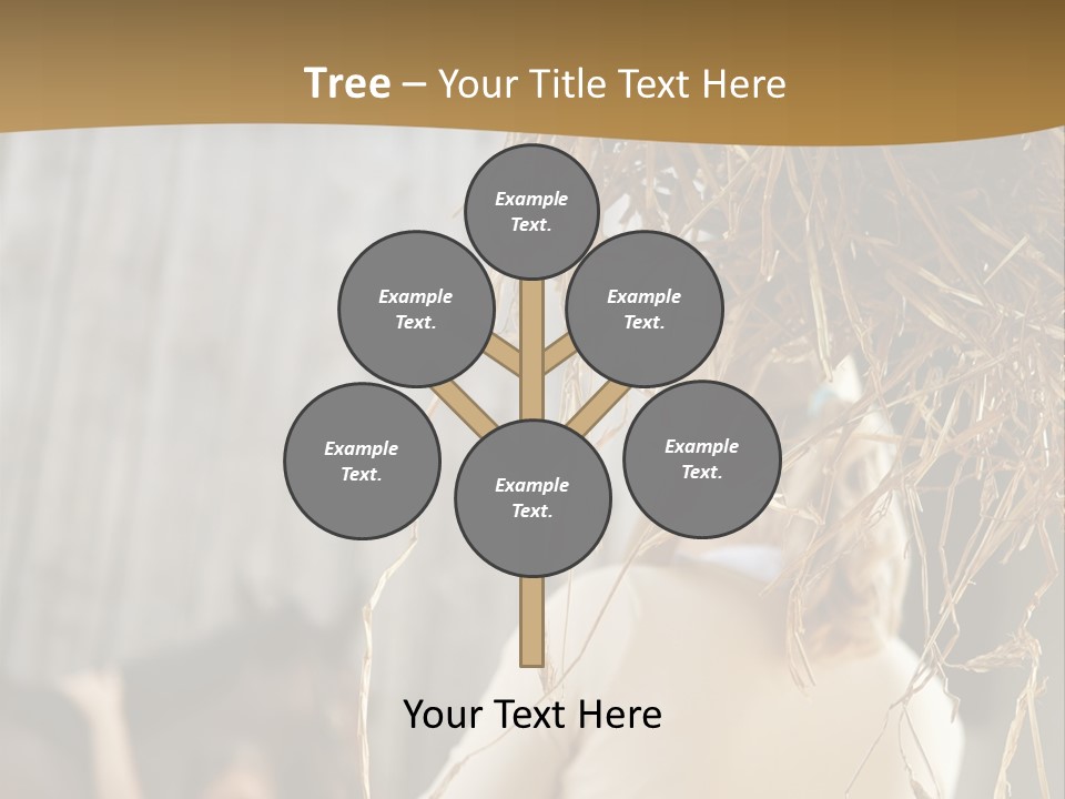 Tradition Cuddling Funfair PowerPoint Template