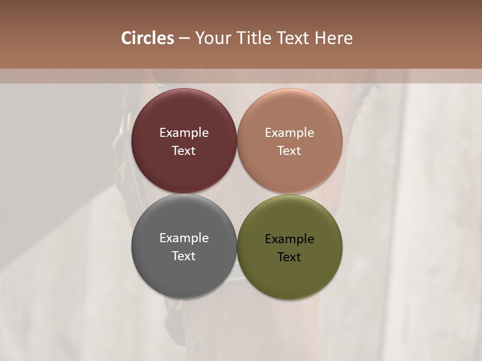 Forelock Coast Images PowerPoint Template