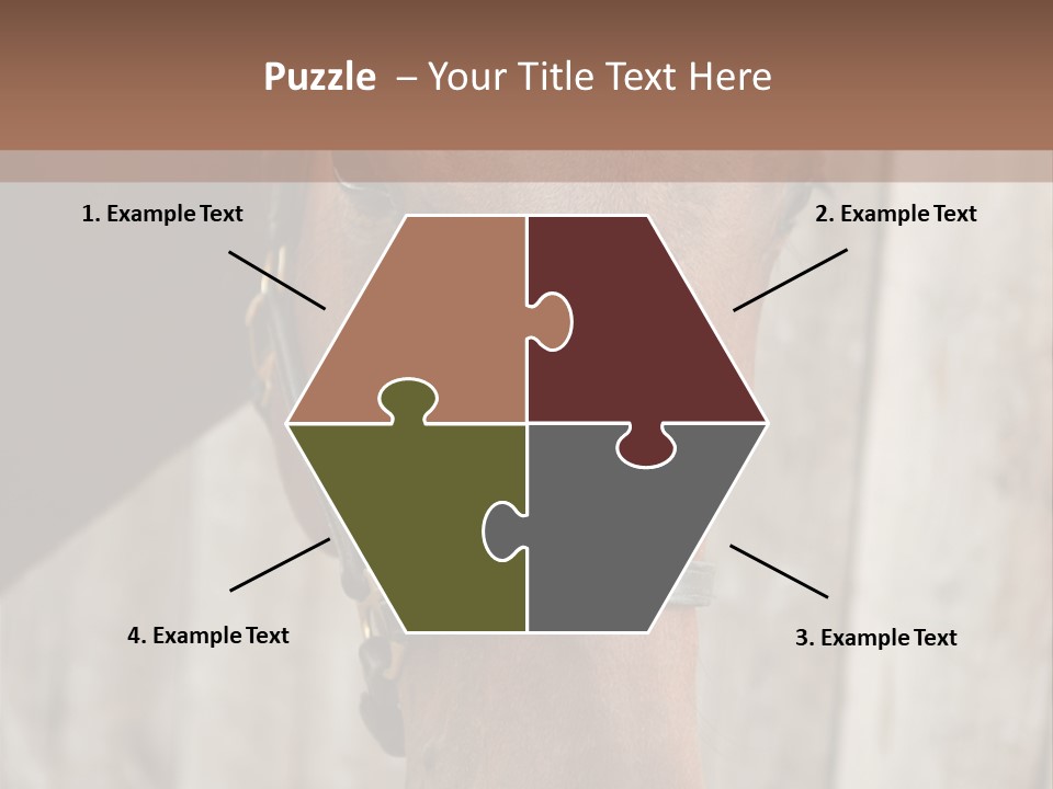 Forelock Coast Images PowerPoint Template