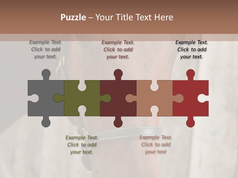 Forelock Coast Images PowerPoint Template