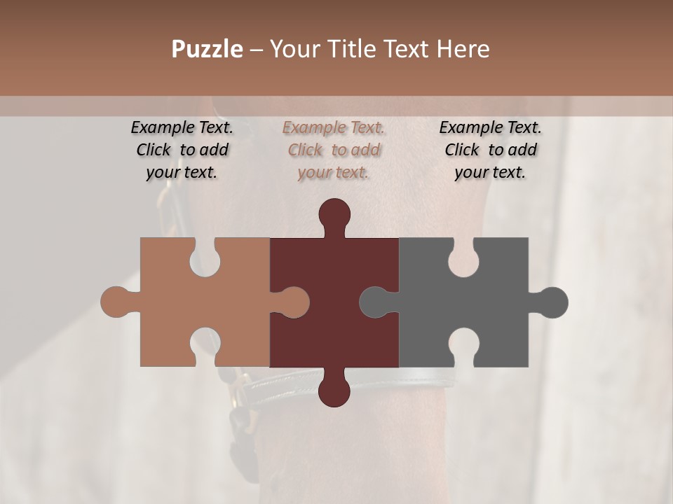 Forelock Coast Images PowerPoint Template