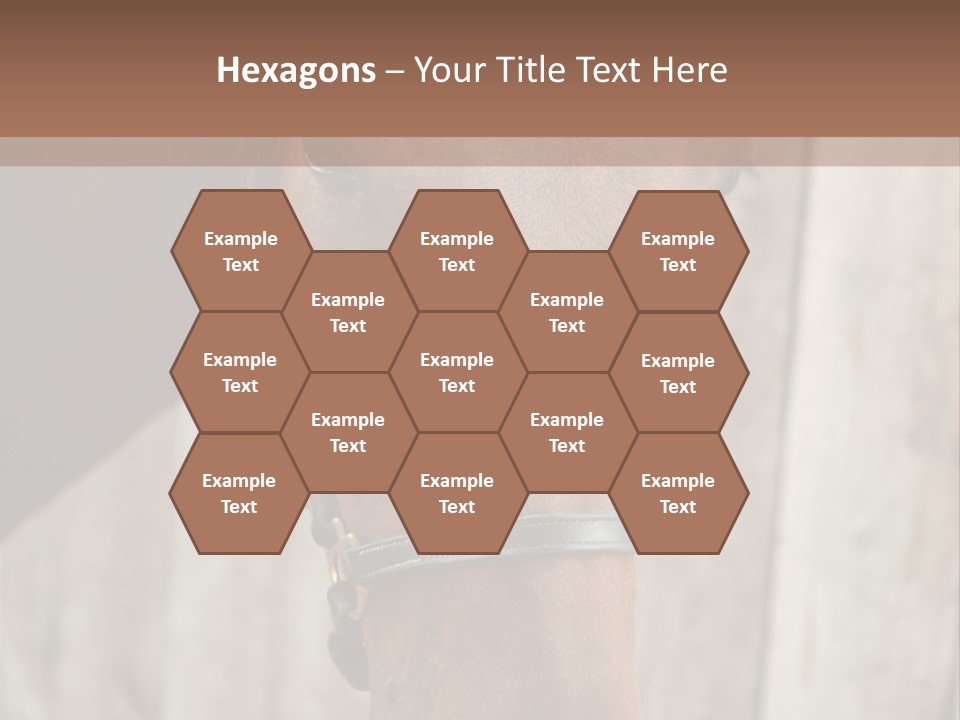 Forelock Coast Images PowerPoint Template