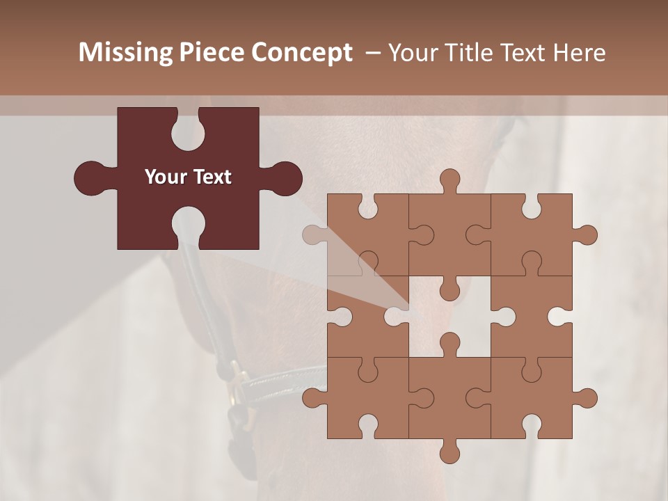 Forelock Coast Images PowerPoint Template