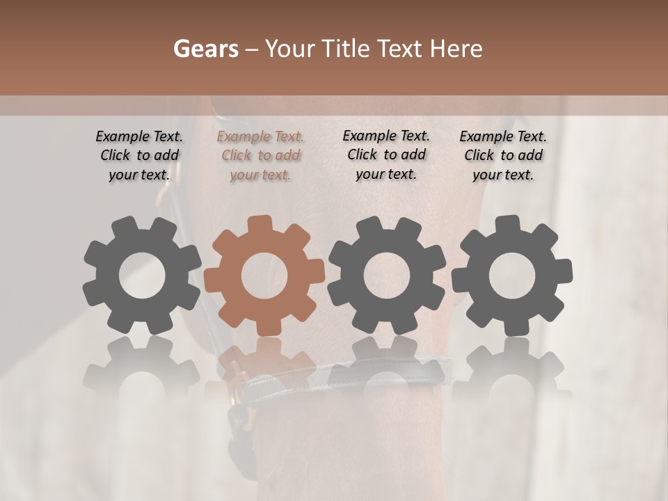 Forelock Coast Images PowerPoint Template