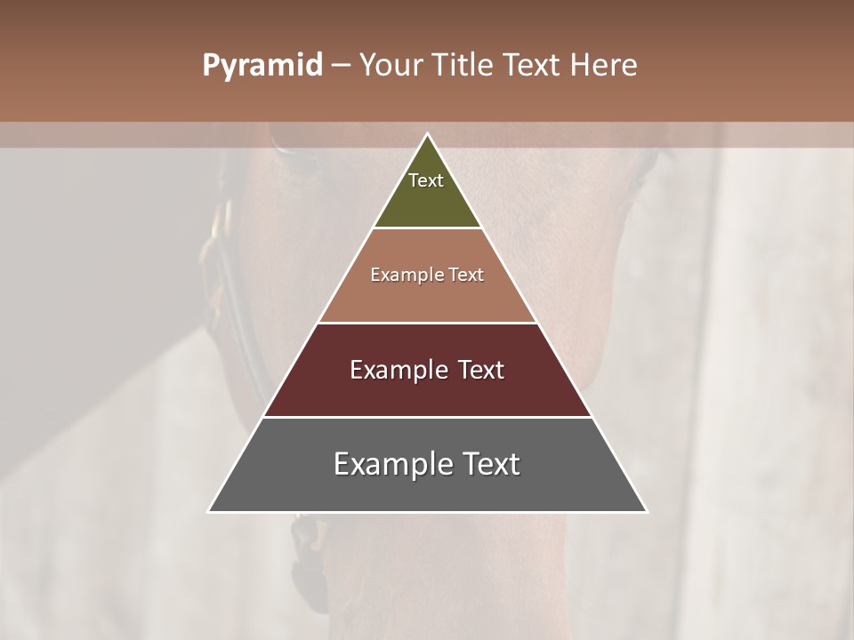 Forelock Coast Images PowerPoint Template