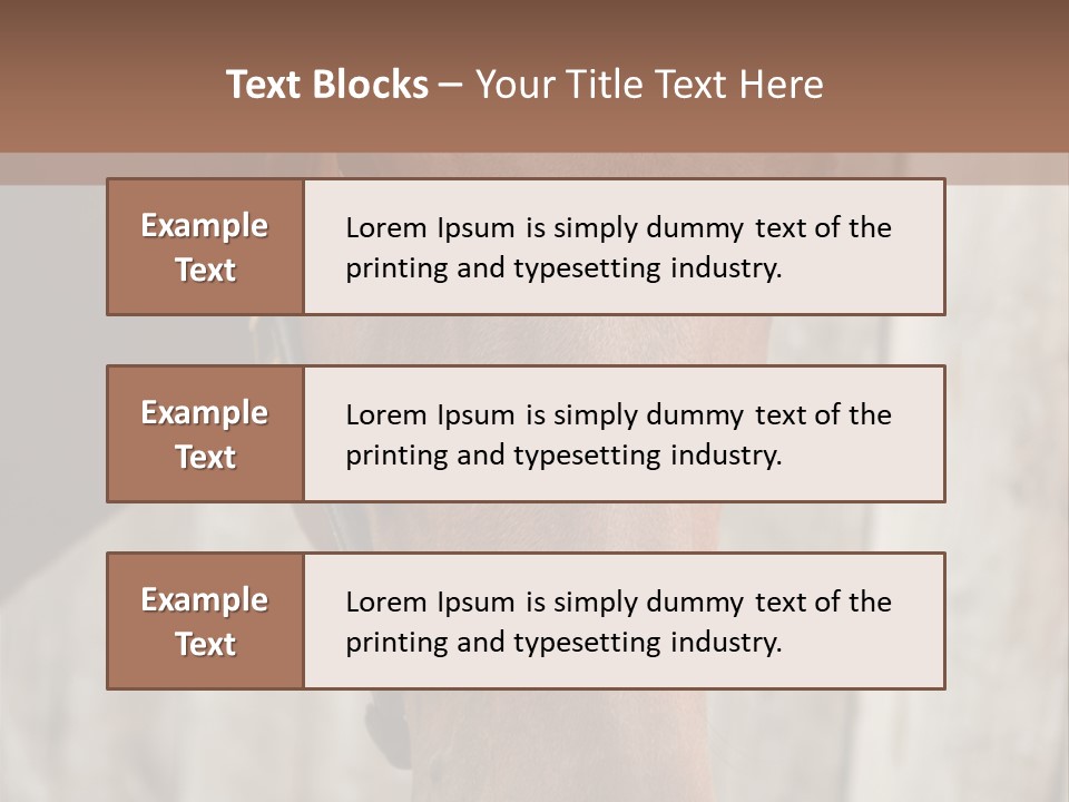 Forelock Coast Images PowerPoint Template