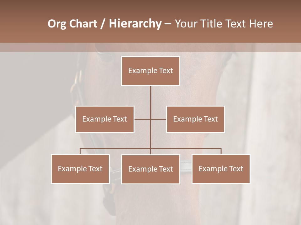 Forelock Coast Images PowerPoint Template