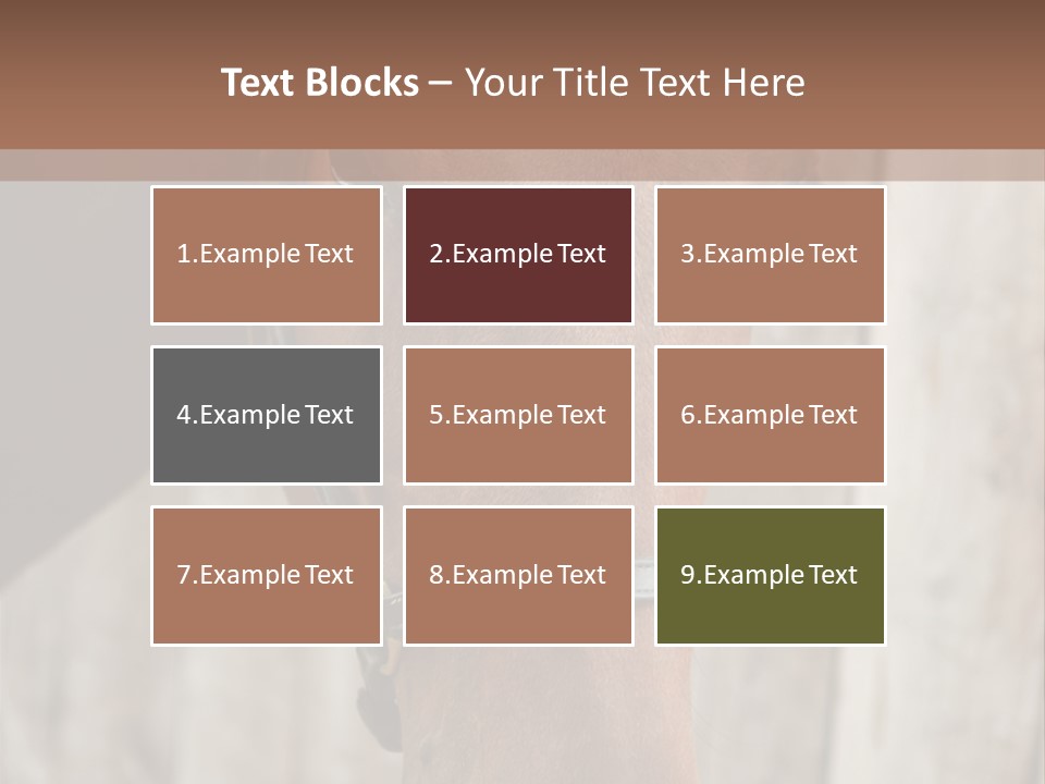 Forelock Coast Images PowerPoint Template