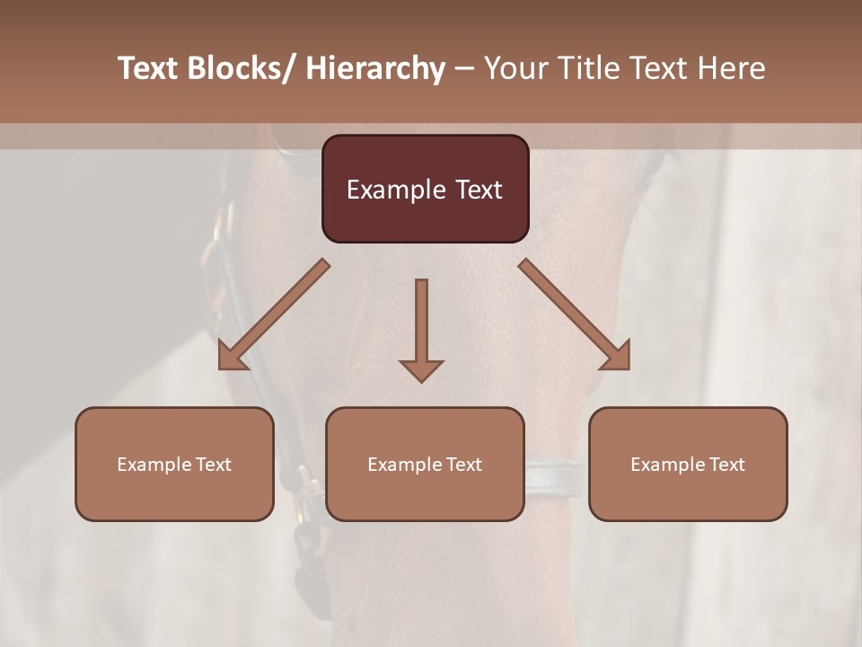 Forelock Coast Images PowerPoint Template