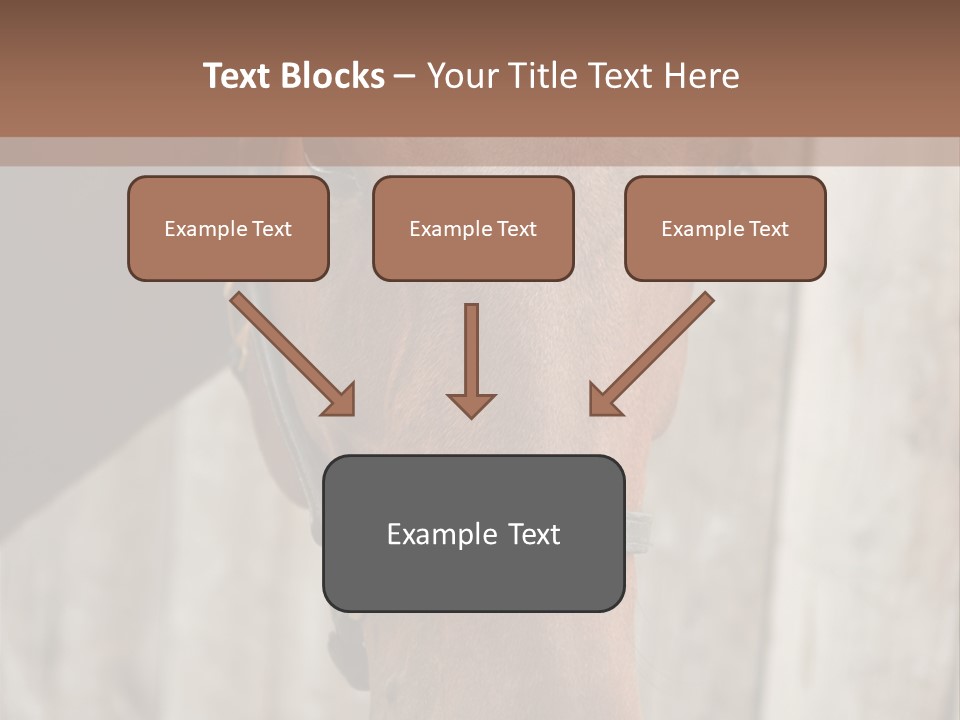 Forelock Coast Images PowerPoint Template