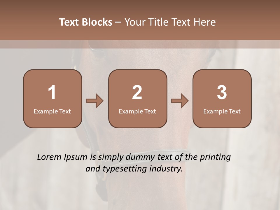 Forelock Coast Images PowerPoint Template