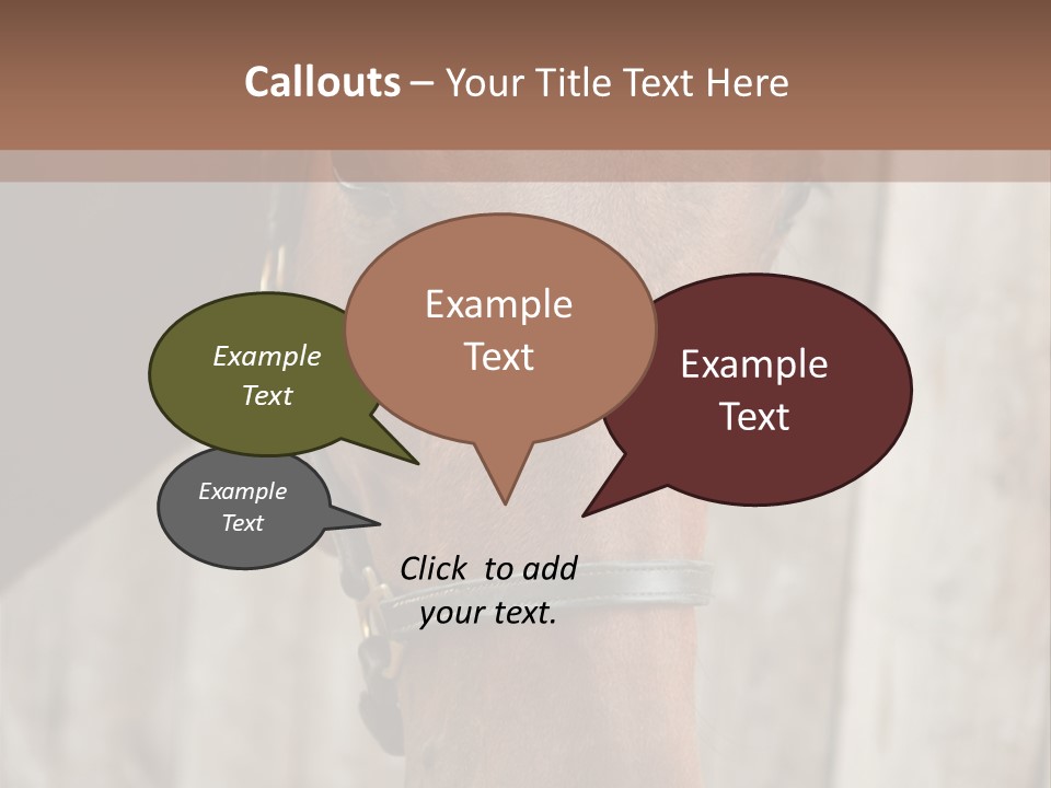 Forelock Coast Images PowerPoint Template