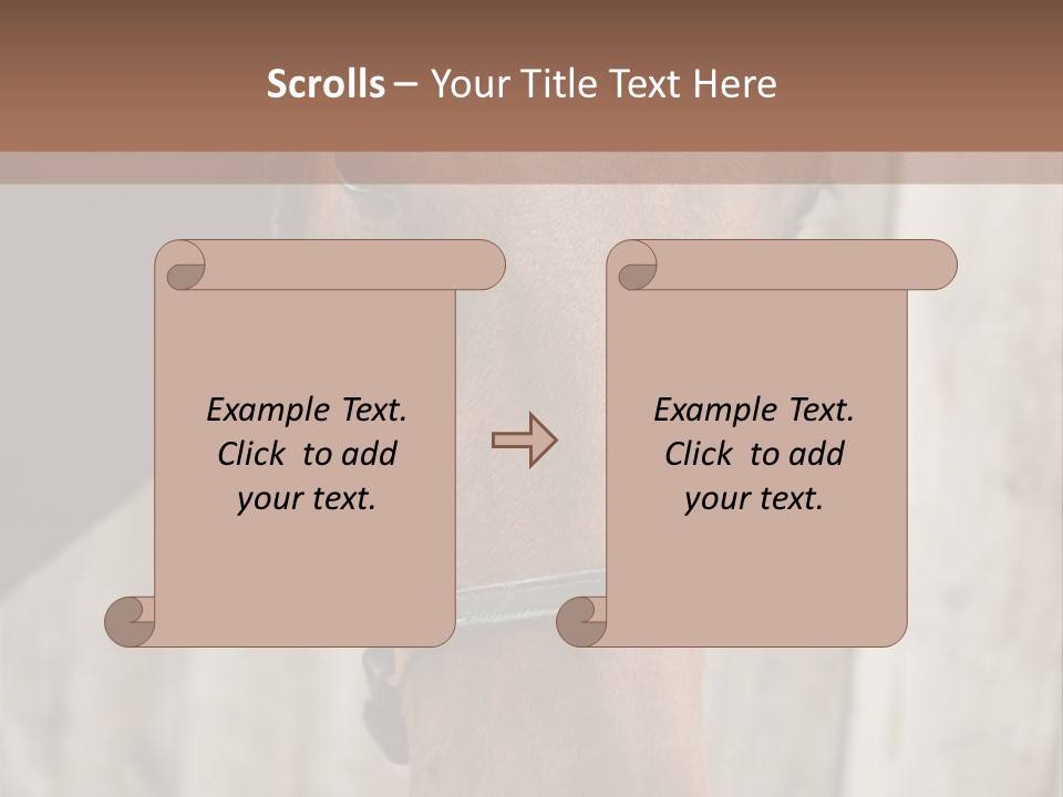 Forelock Coast Images PowerPoint Template