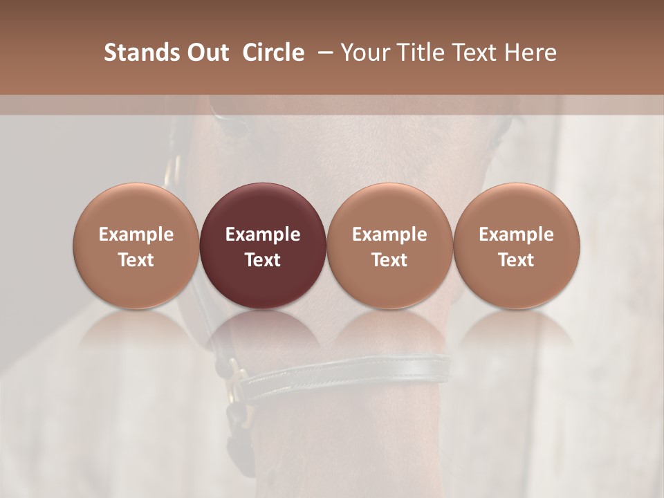 Forelock Coast Images PowerPoint Template