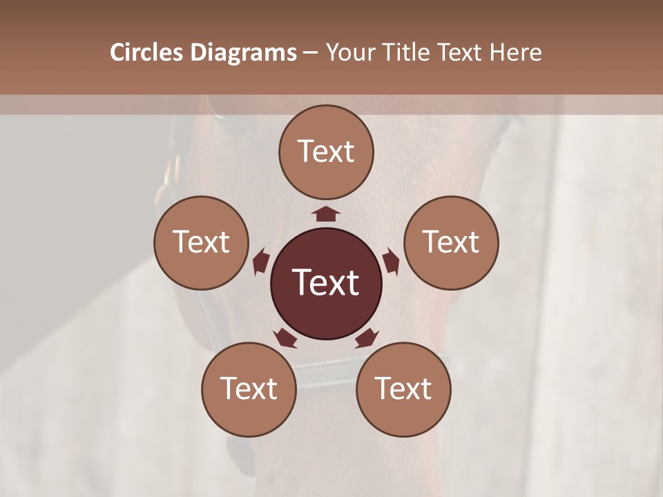 Forelock Coast Images PowerPoint Template