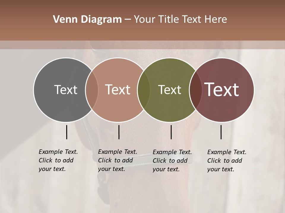 Forelock Coast Images PowerPoint Template