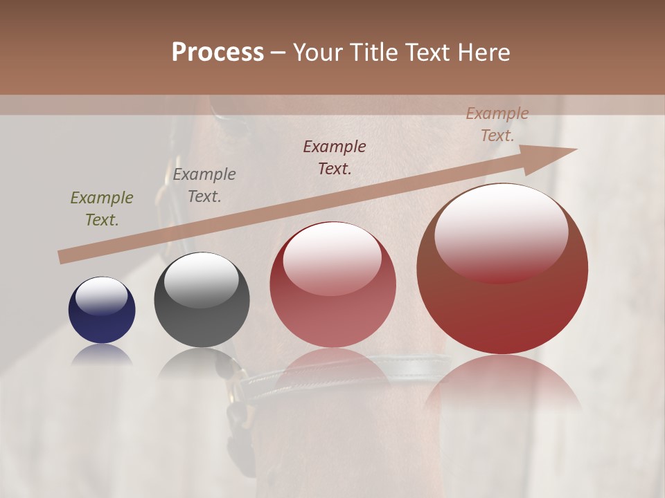 Forelock Coast Images PowerPoint Template