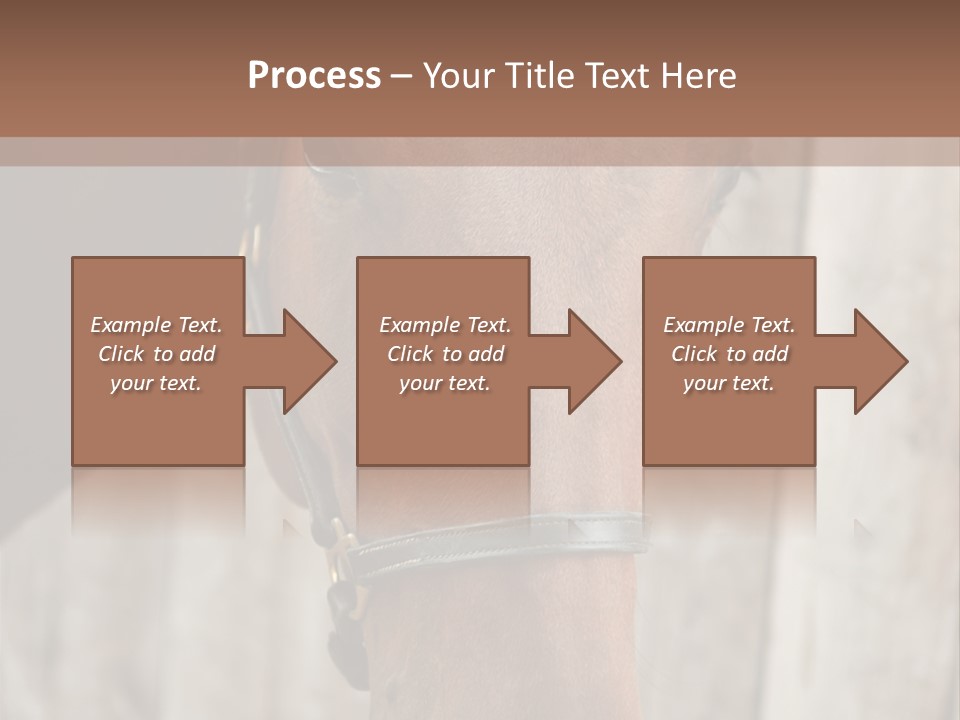 Forelock Coast Images PowerPoint Template