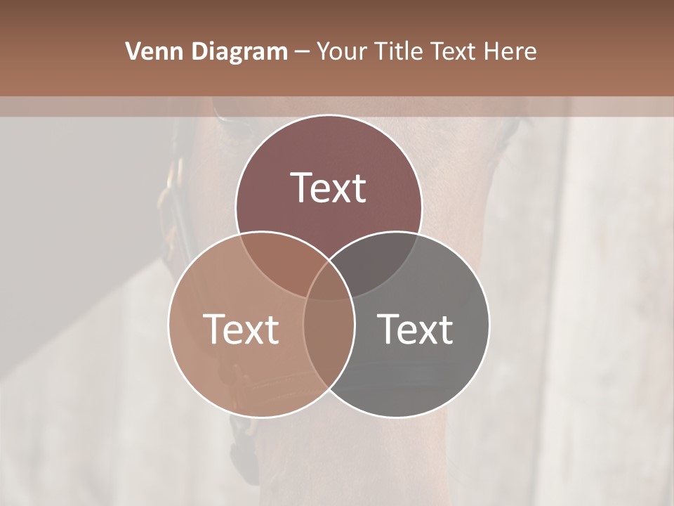 Forelock Coast Images PowerPoint Template