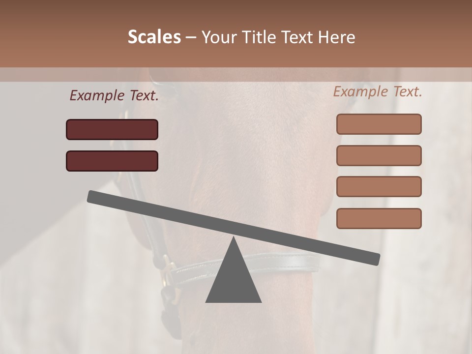 Forelock Coast Images PowerPoint Template