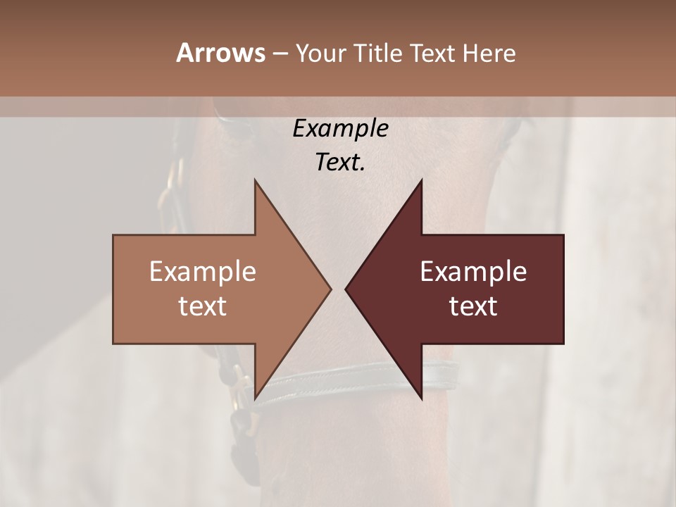 Forelock Coast Images PowerPoint Template