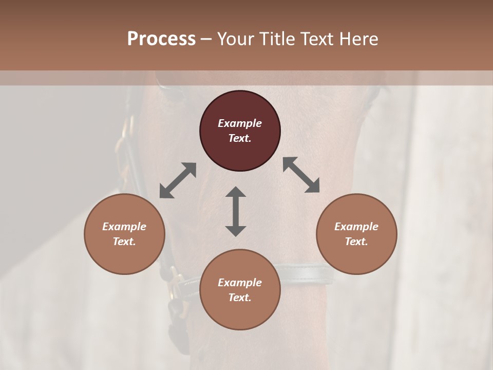 Forelock Coast Images PowerPoint Template