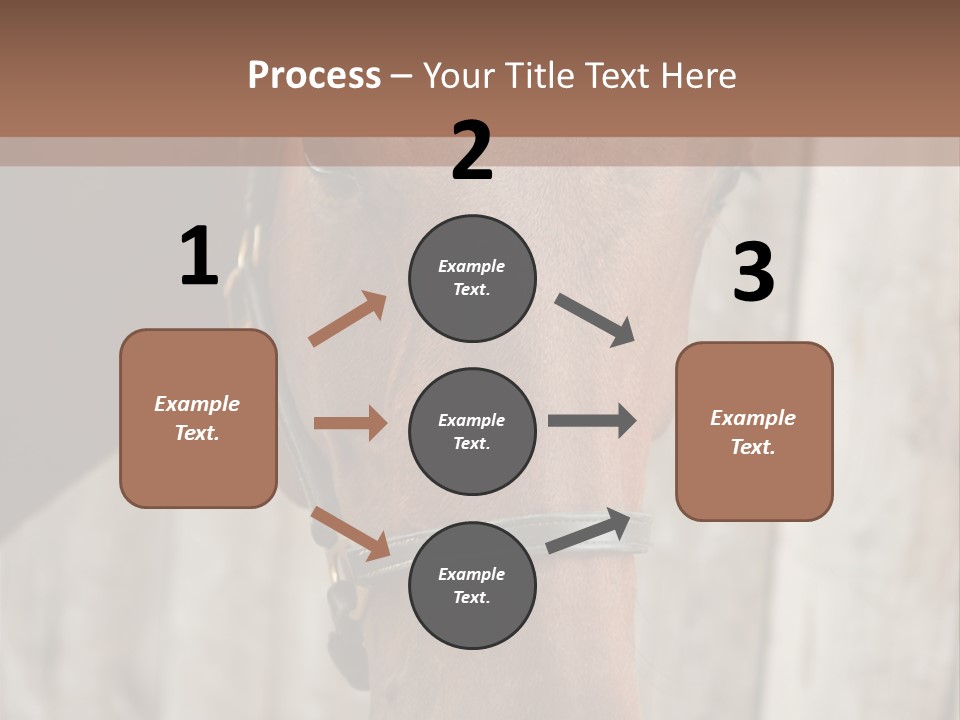 Forelock Coast Images PowerPoint Template