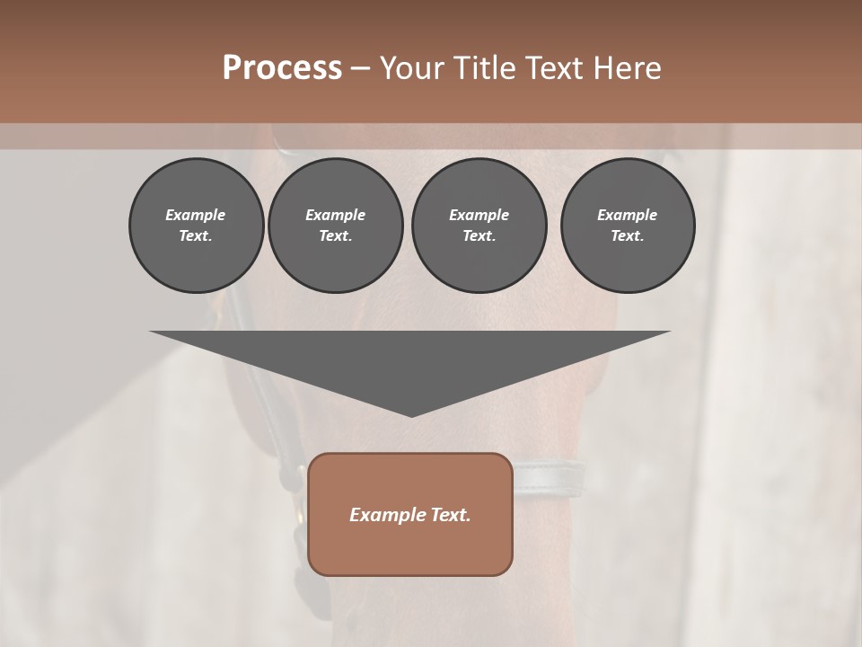 Forelock Coast Images PowerPoint Template