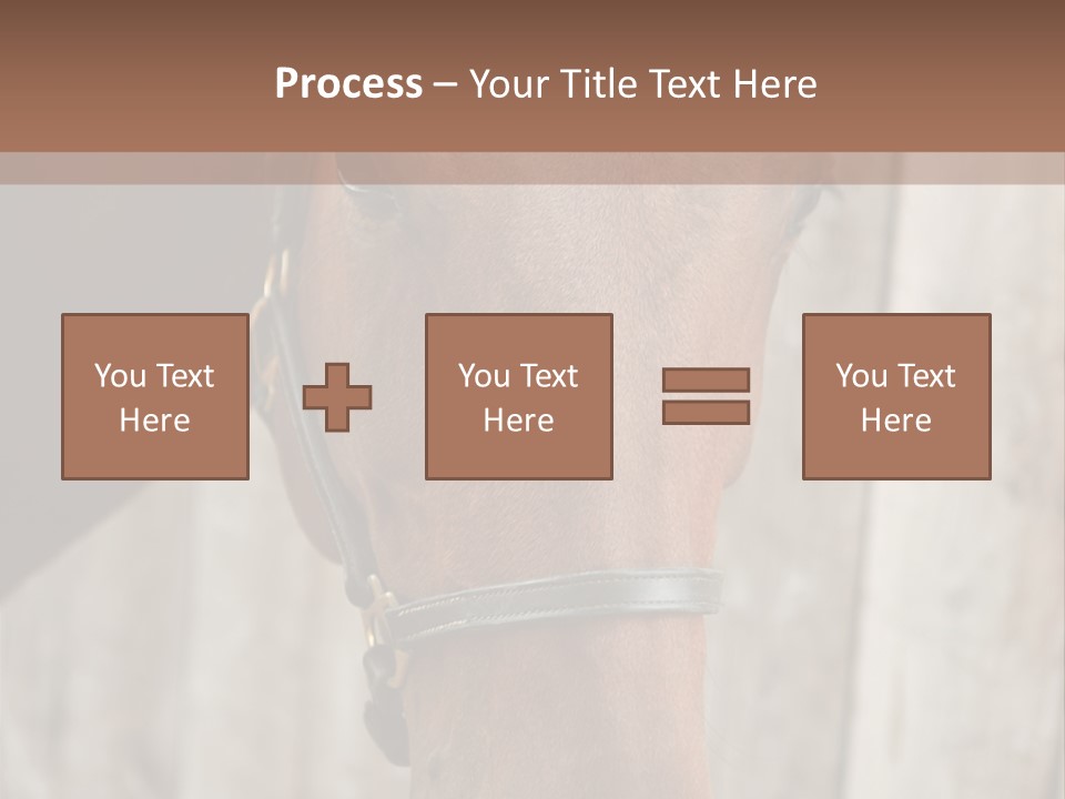 Forelock Coast Images PowerPoint Template