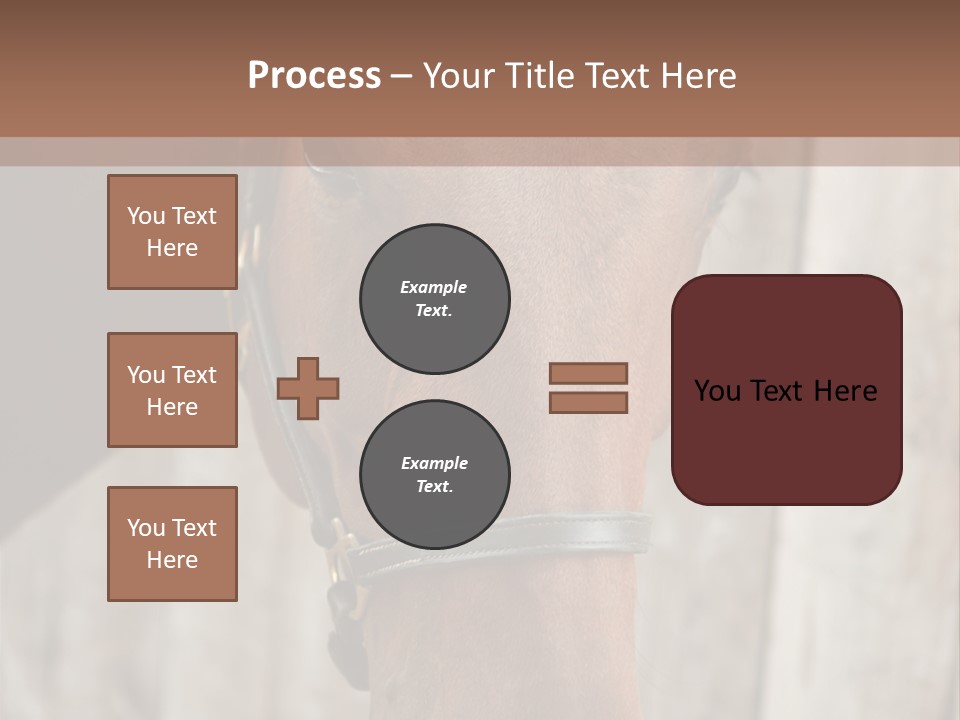 Forelock Coast Images PowerPoint Template