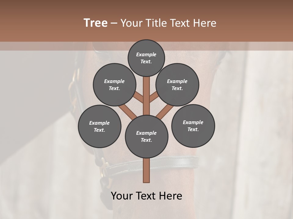 Forelock Coast Images PowerPoint Template