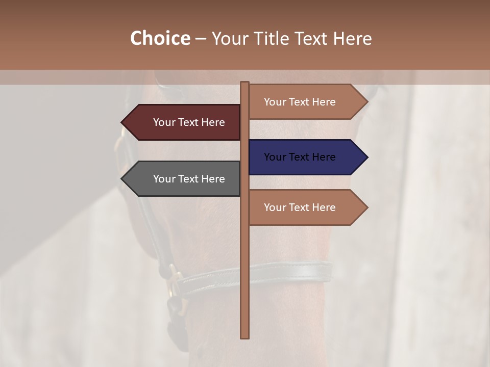 Forelock Coast Images PowerPoint Template
