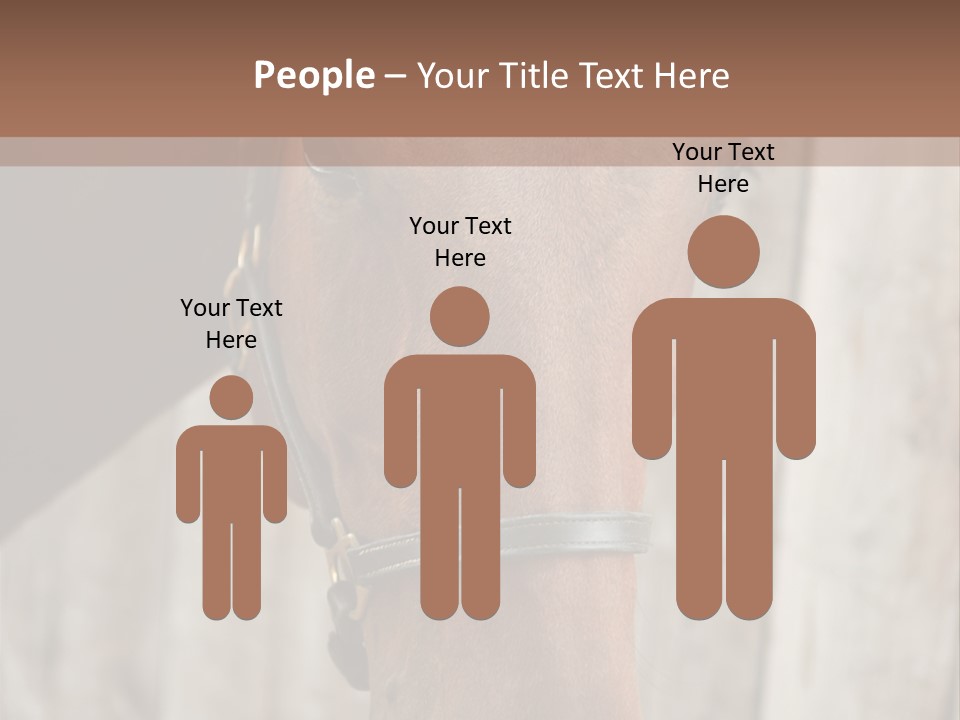 Forelock Coast Images PowerPoint Template