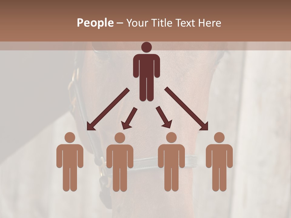 Forelock Coast Images PowerPoint Template