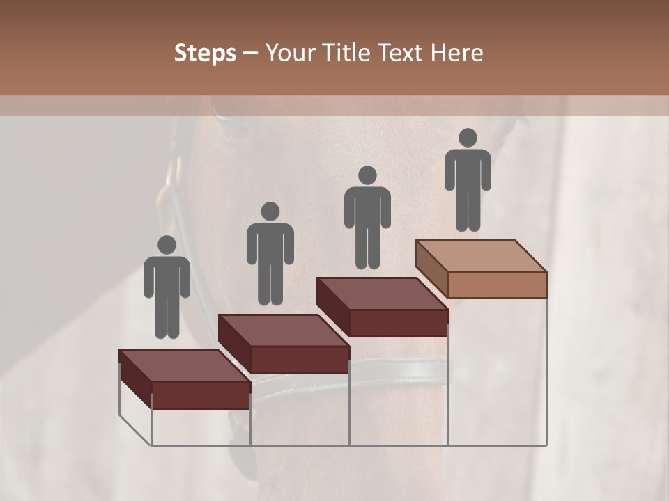 Forelock Coast Images PowerPoint Template