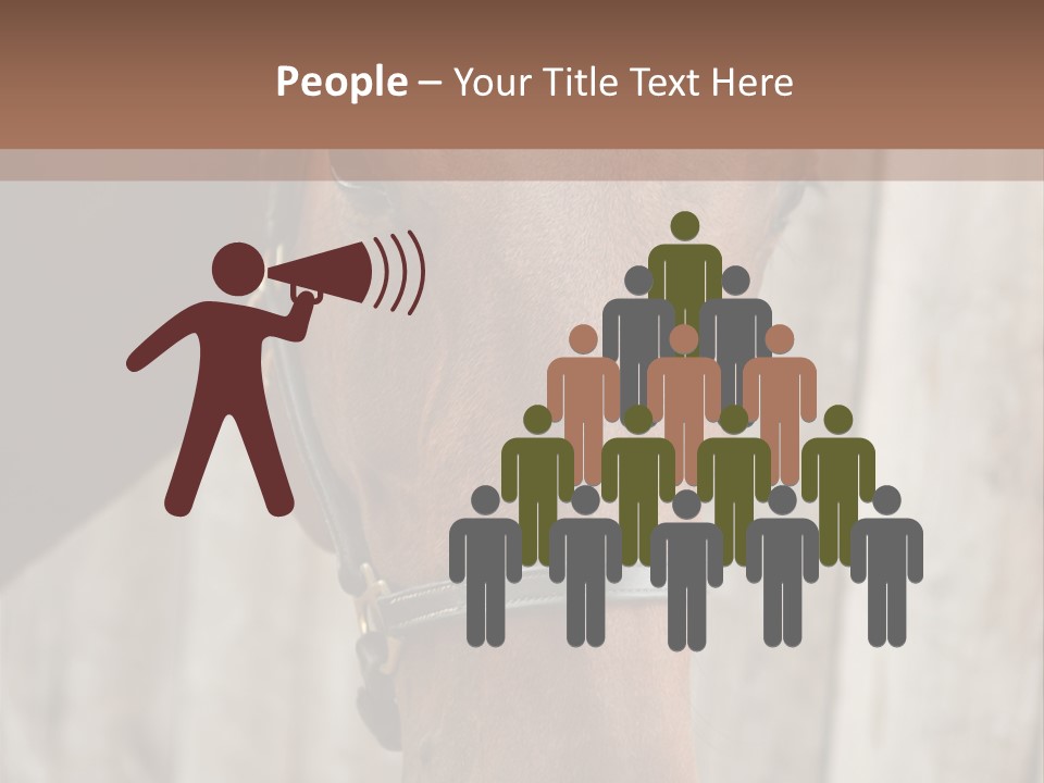 Forelock Coast Images PowerPoint Template